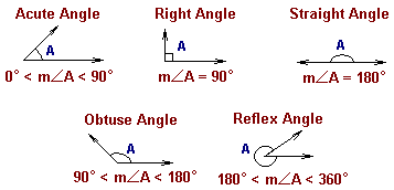 2076_Measurements of Segments and Angles 1.png